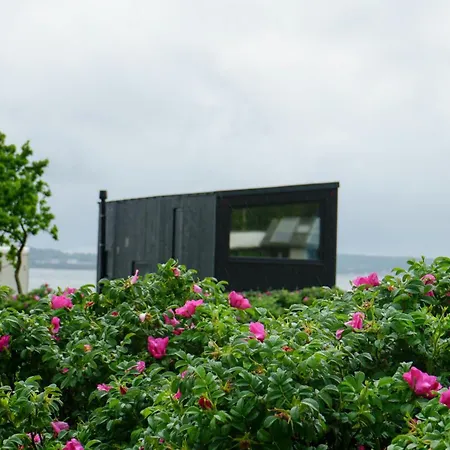 Feriehus Tiny Seaside - Skarrev